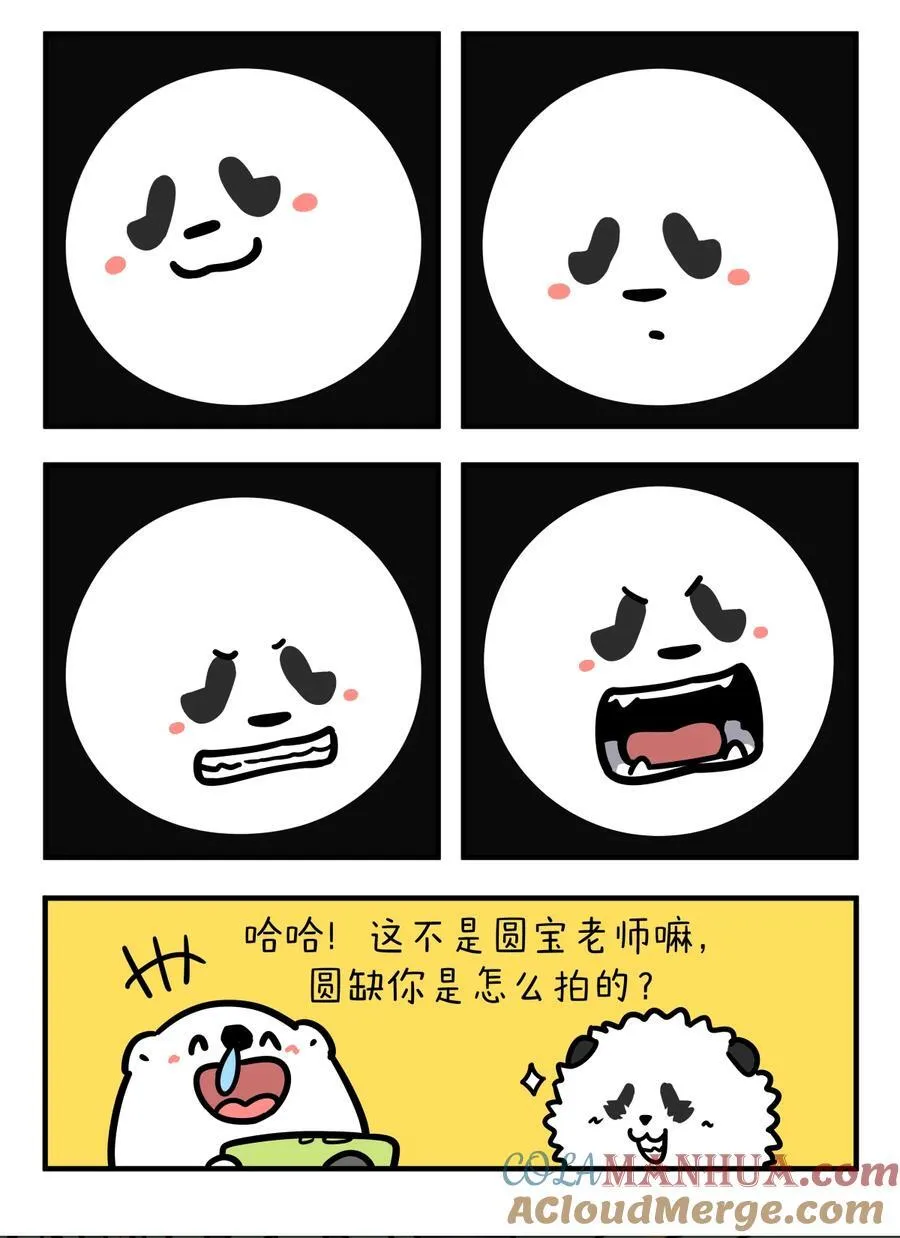 417 十五的月亮十六圆，谁的技术遥遥领先！2