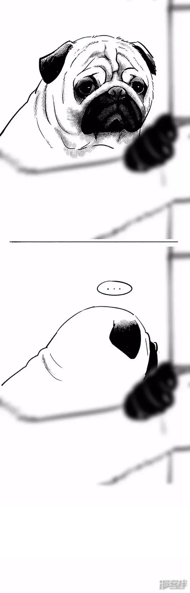 069狗粮6