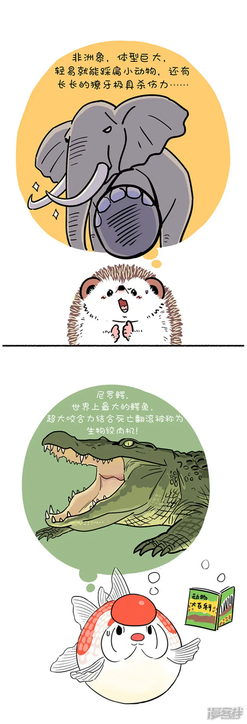 266世界上最致命的动物是什么？1