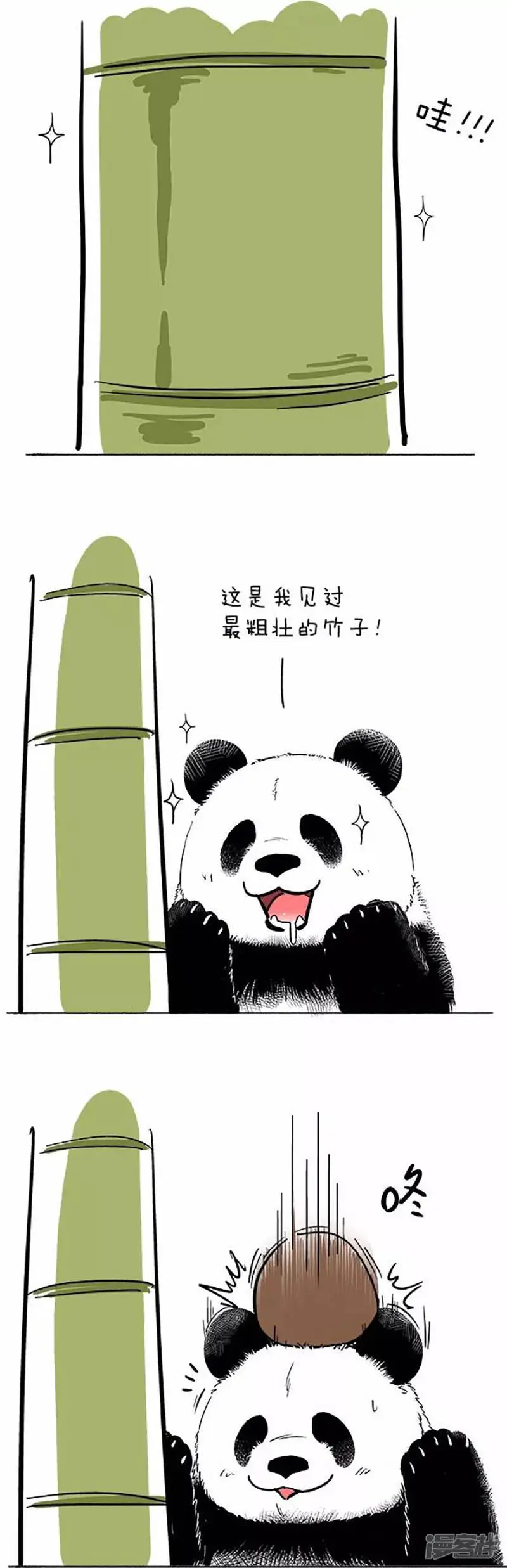 072椰子0