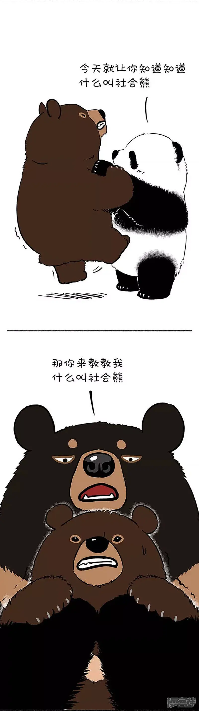 109社会熊2