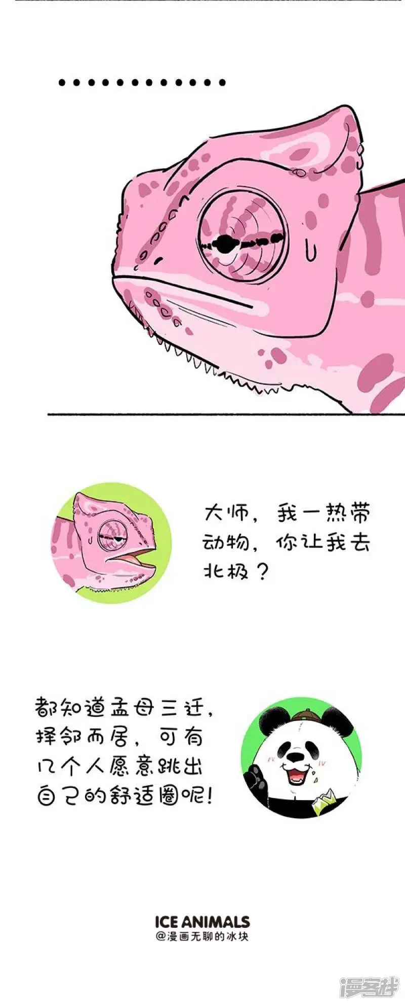 132奇大师不框你之爱到白头7