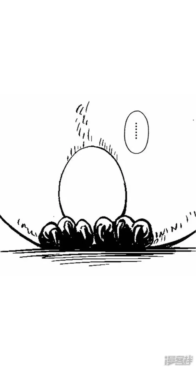 001孵蛋7