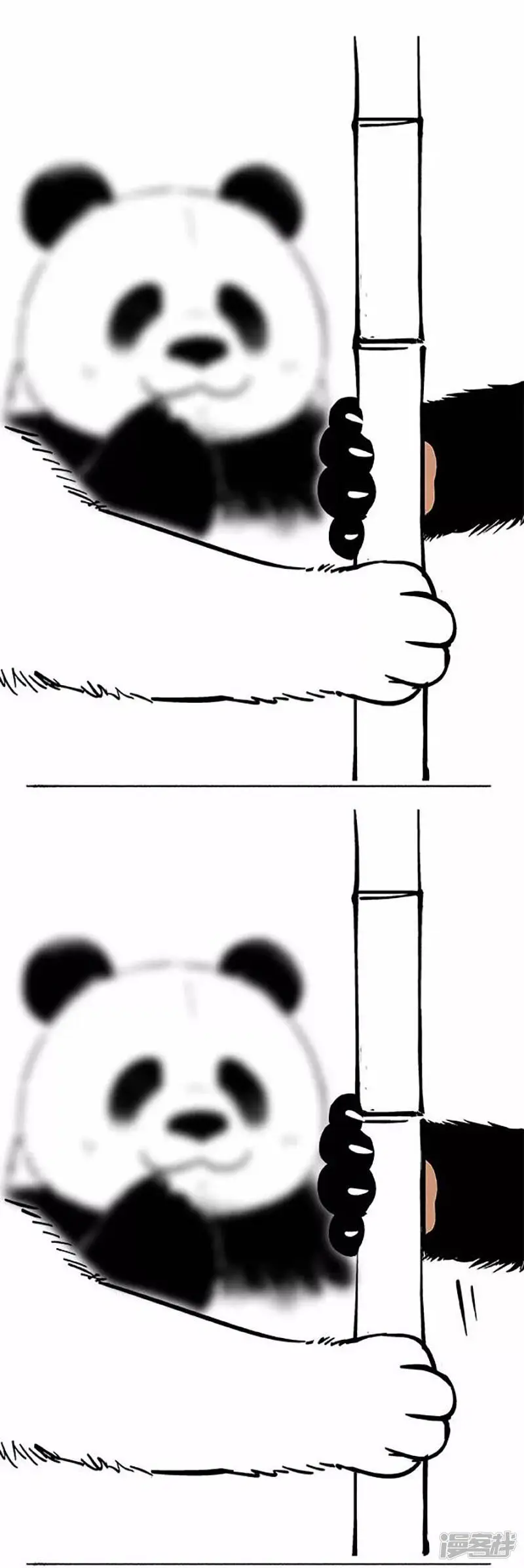 069狗粮8