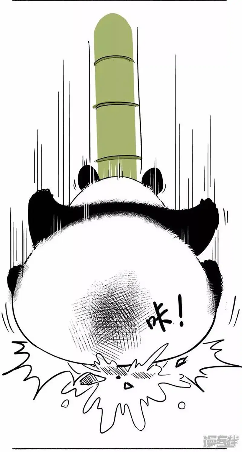 072椰子5