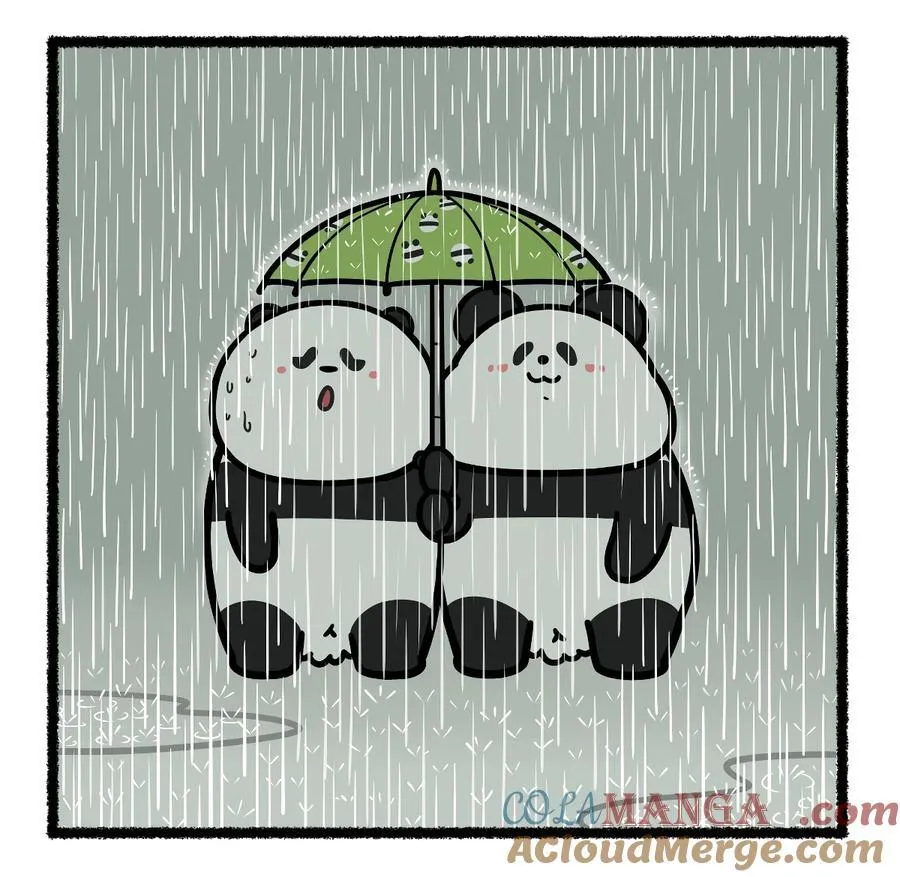 435 淋过雨，才懂得为你撑伞~4
