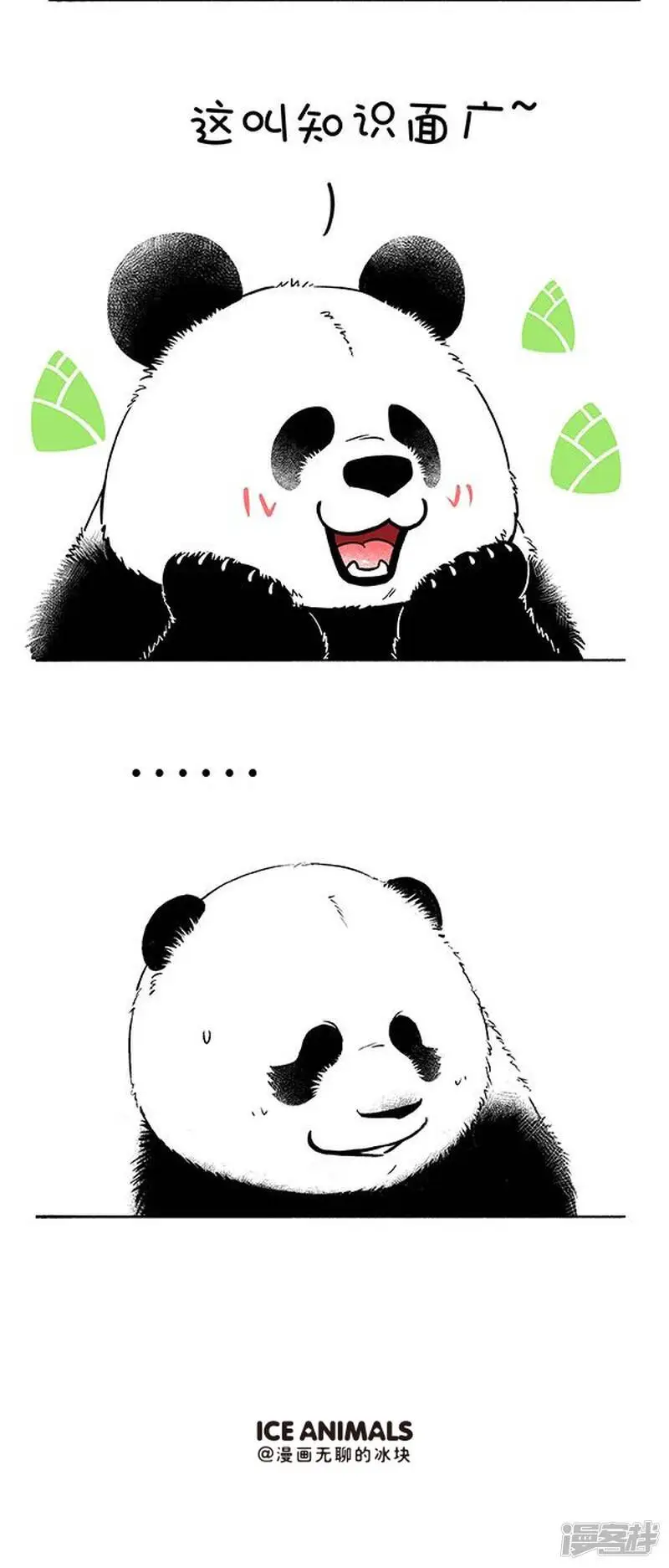 136像我这种熊，是比较不容易翻脸的3