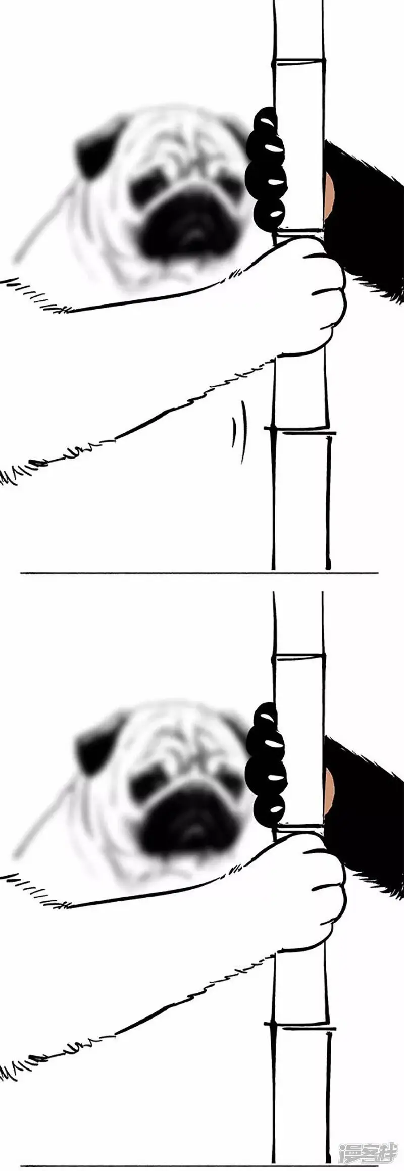 069狗粮4