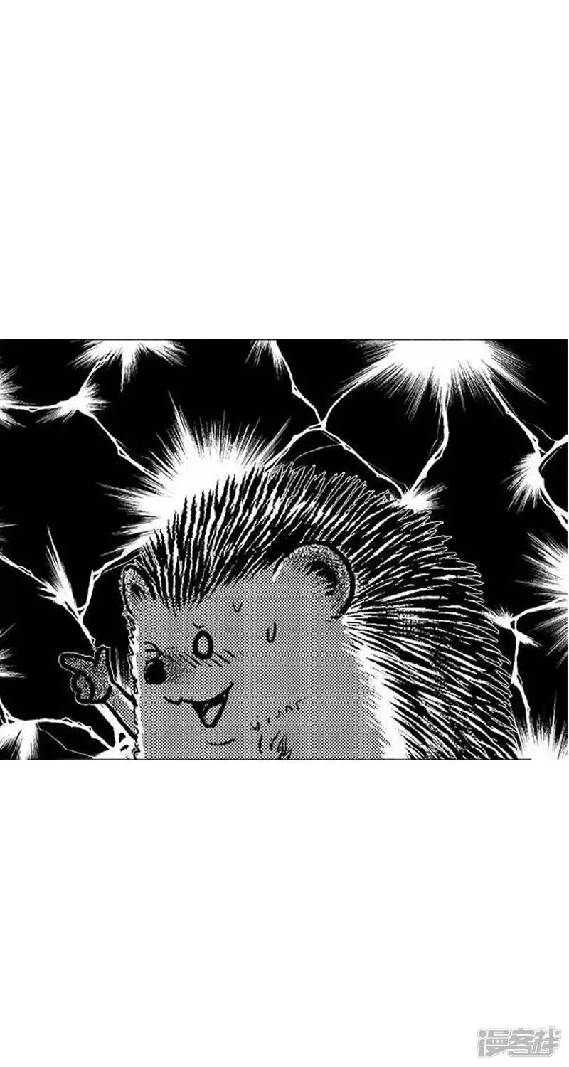 023甜言17