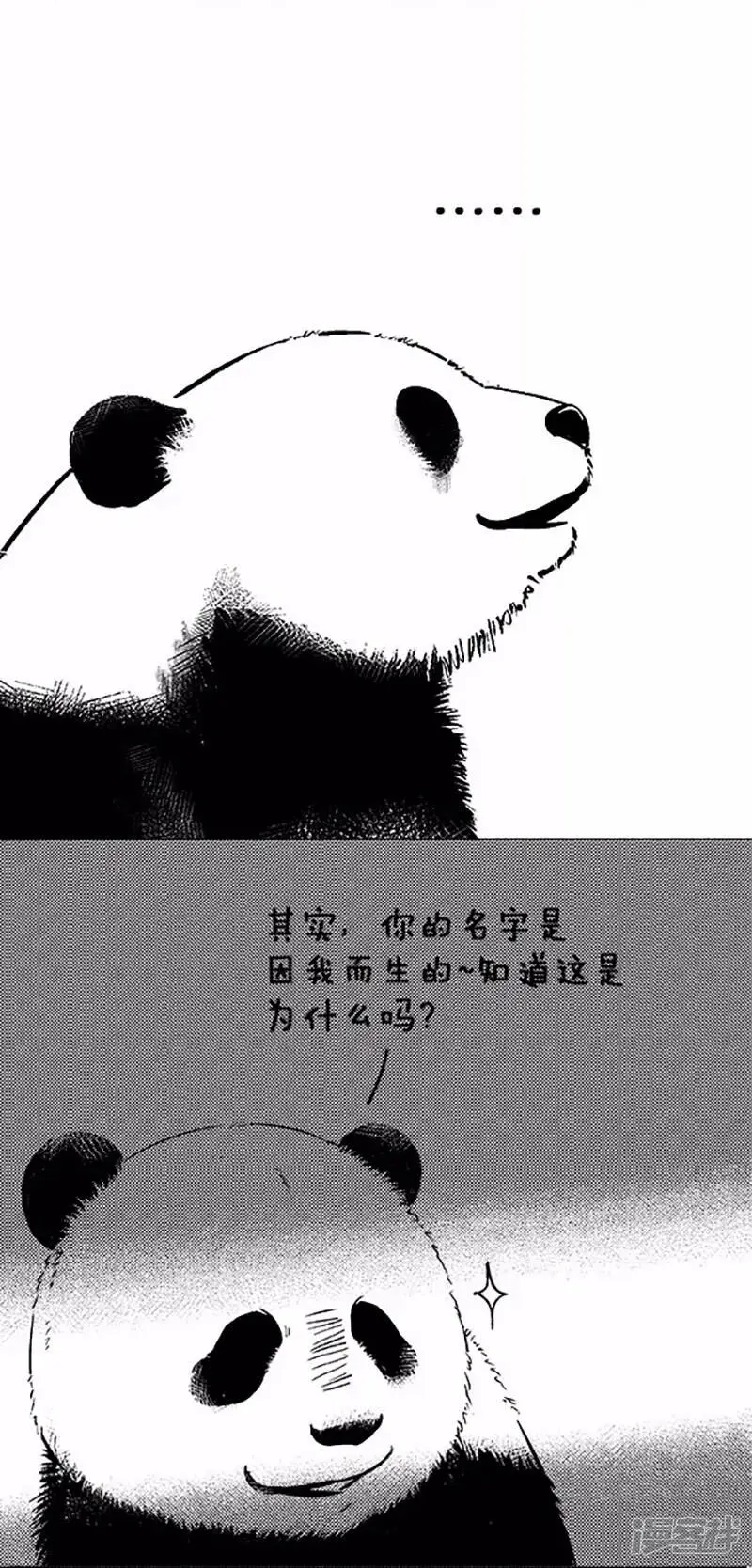 042名字7