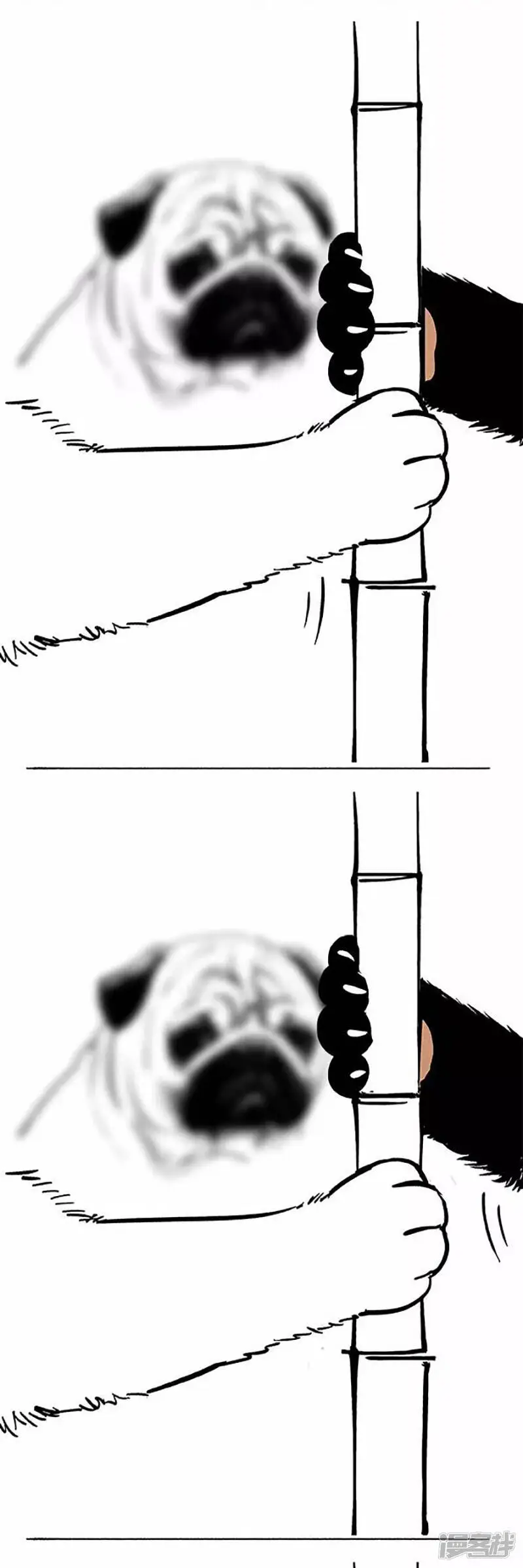 069狗粮3