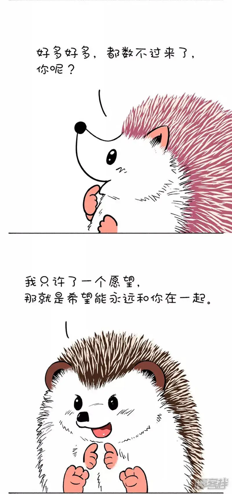 111和你去看流星雨2