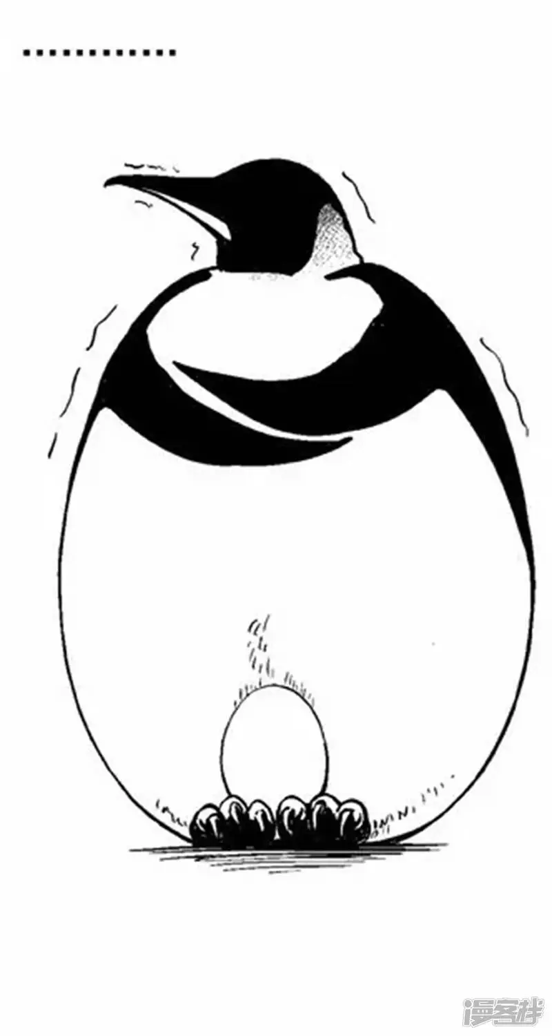 001孵蛋9