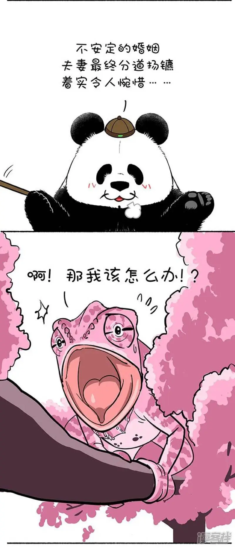132奇大师不框你之爱到白头3