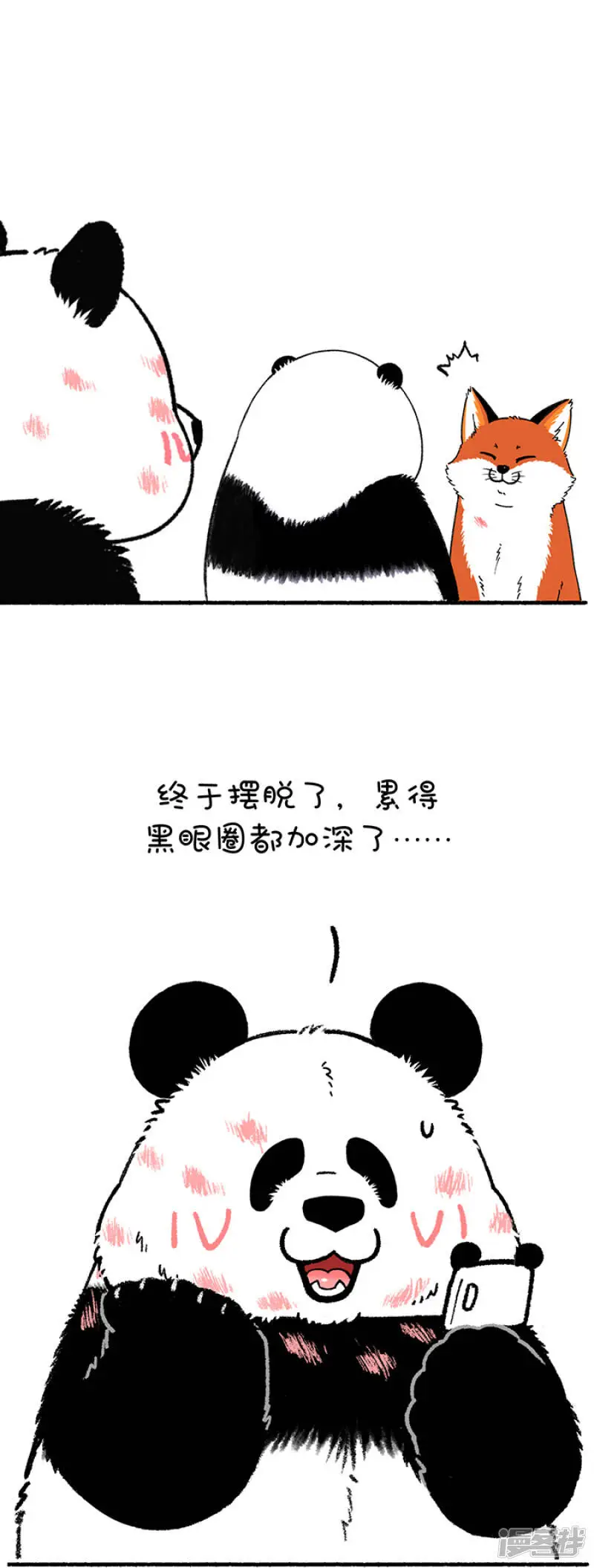 213别误会，我是熊又不是猪1