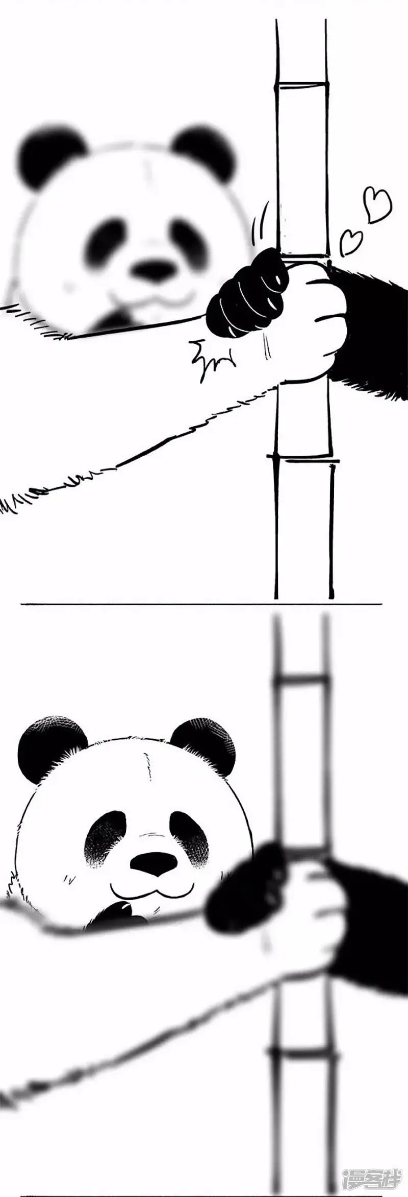 069狗粮12