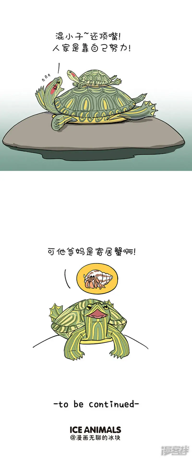 309家家有本双标的经2