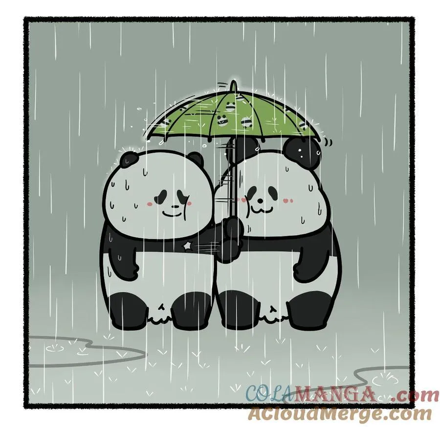 435 淋过雨，才懂得为你撑伞~2
