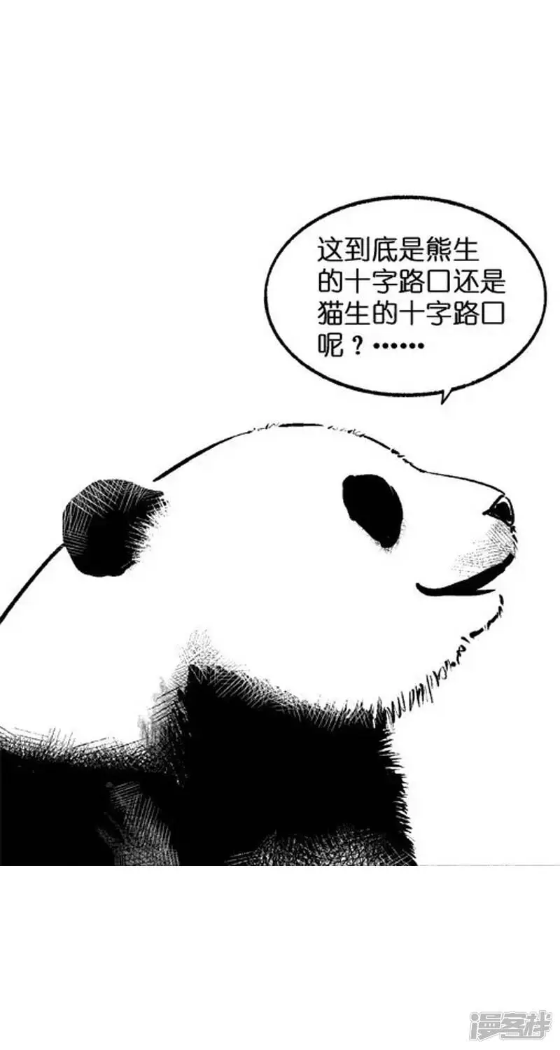 006物种5