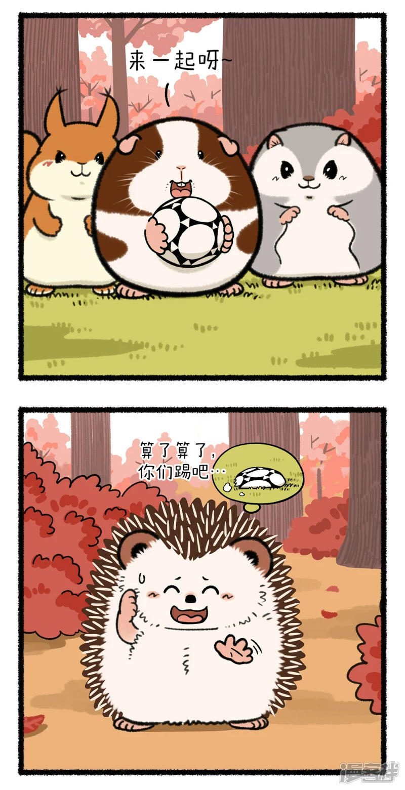 355谁还不是足球场上一朵带刺的玫瑰了~1