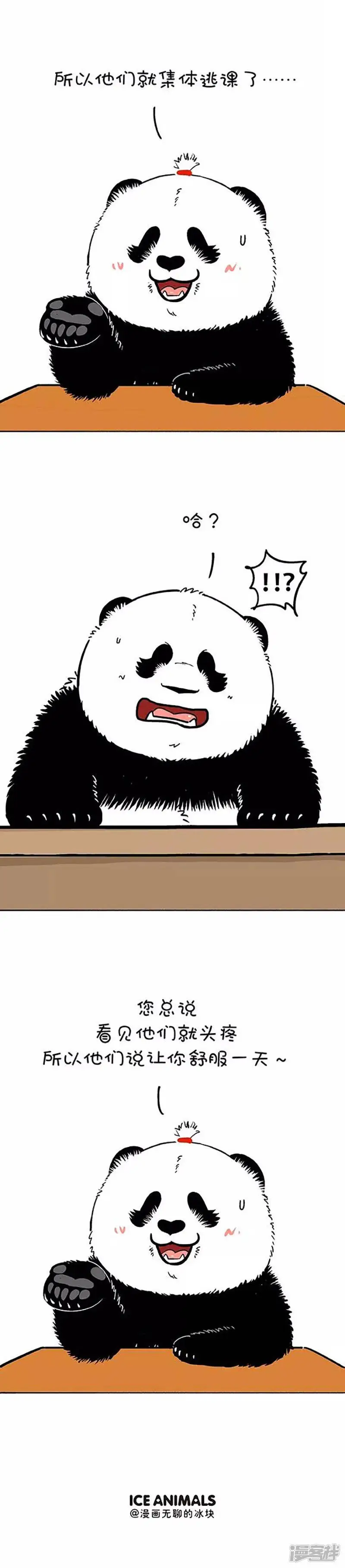 166老师真正喜欢的礼物是什么？2