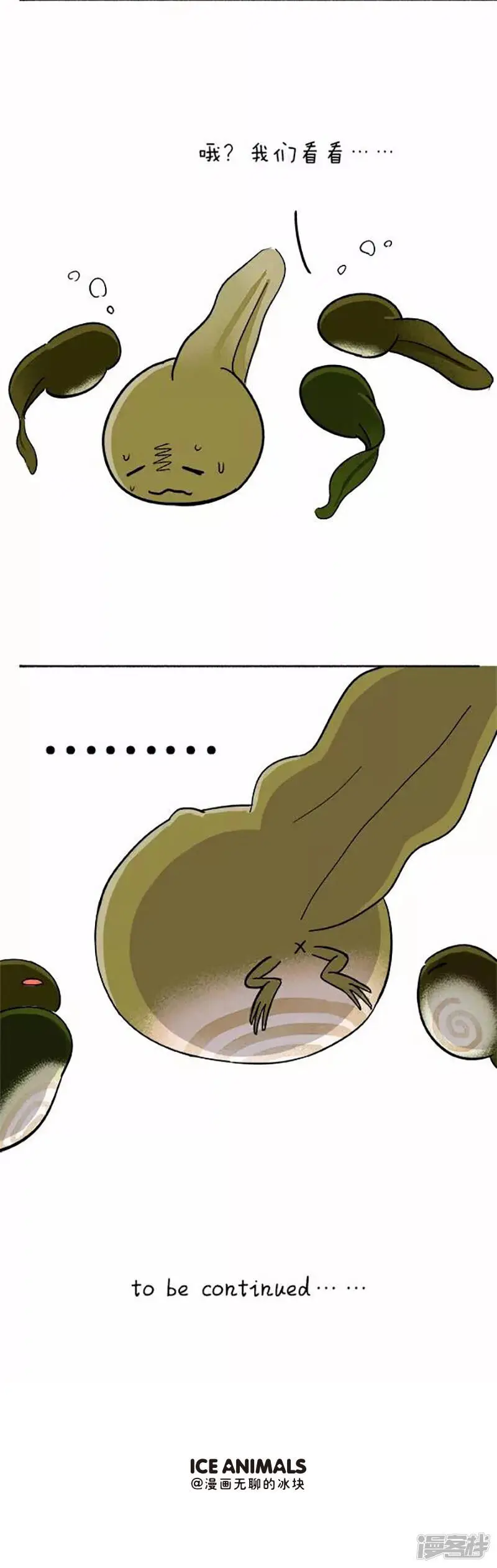 070小蝌蚪找麻麻之小蝌蚪“便秘”4