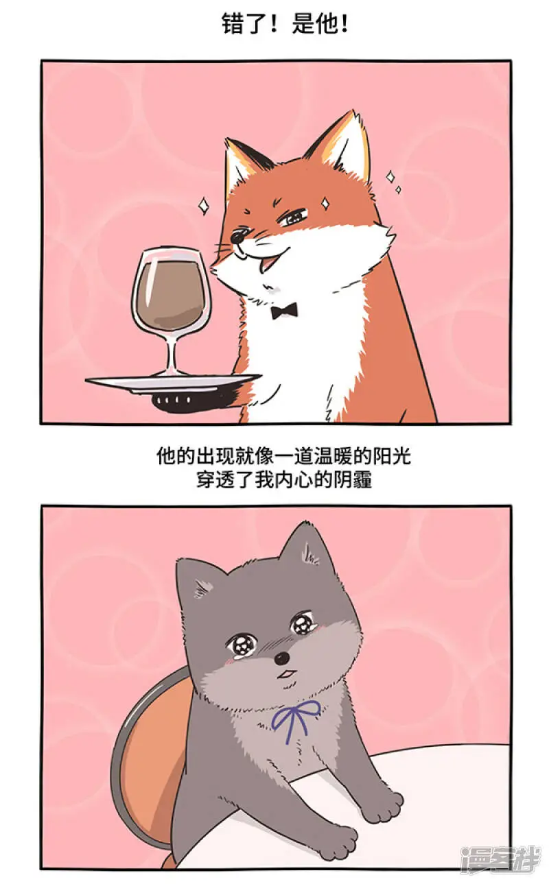 289人生若只如初见，一束强光挺晃眼~5