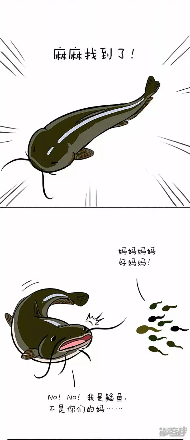 060小蝌蚪找麻麻(一）7