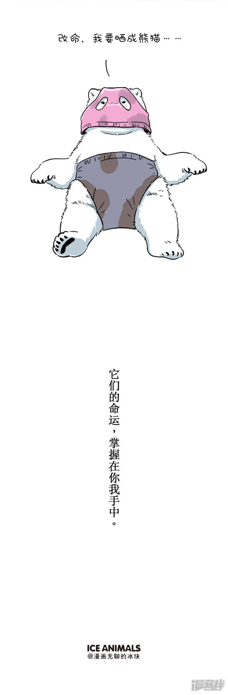 099世界动物日-小白熊有一个梦2