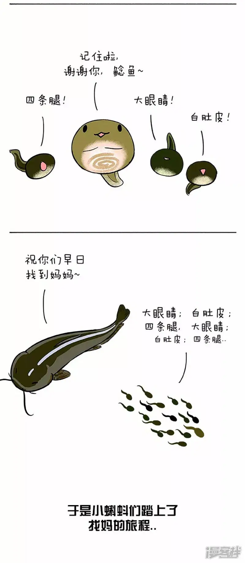 060小蝌蚪找麻麻(一）9