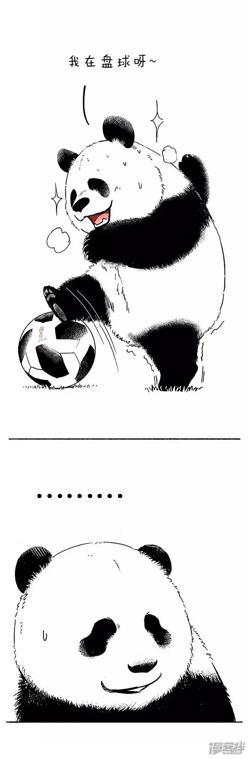 080球技5