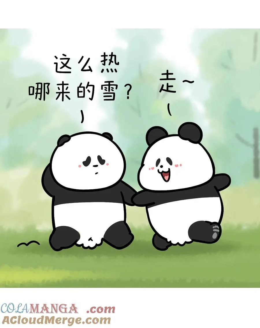 445 这么热的520，带上TA去看一场浪漫的雪~1