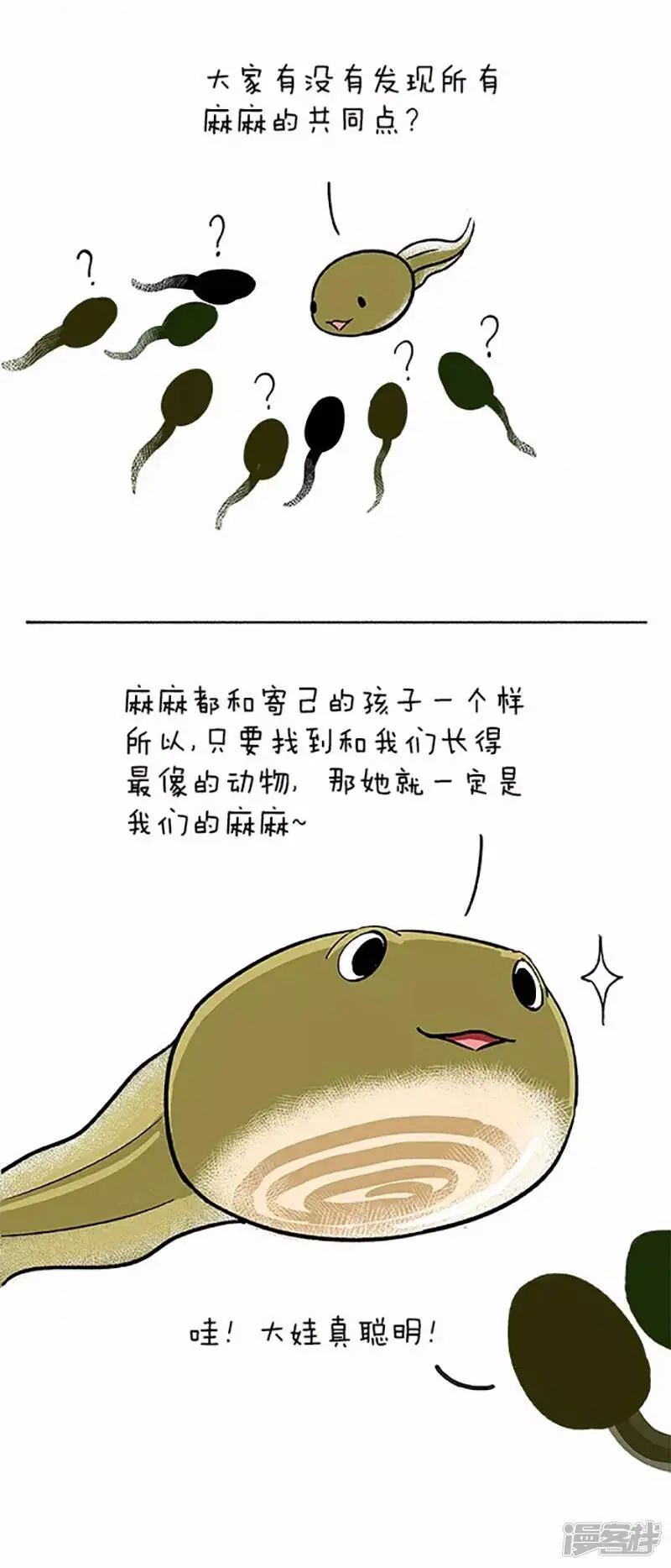 060小蝌蚪找麻麻(一）5