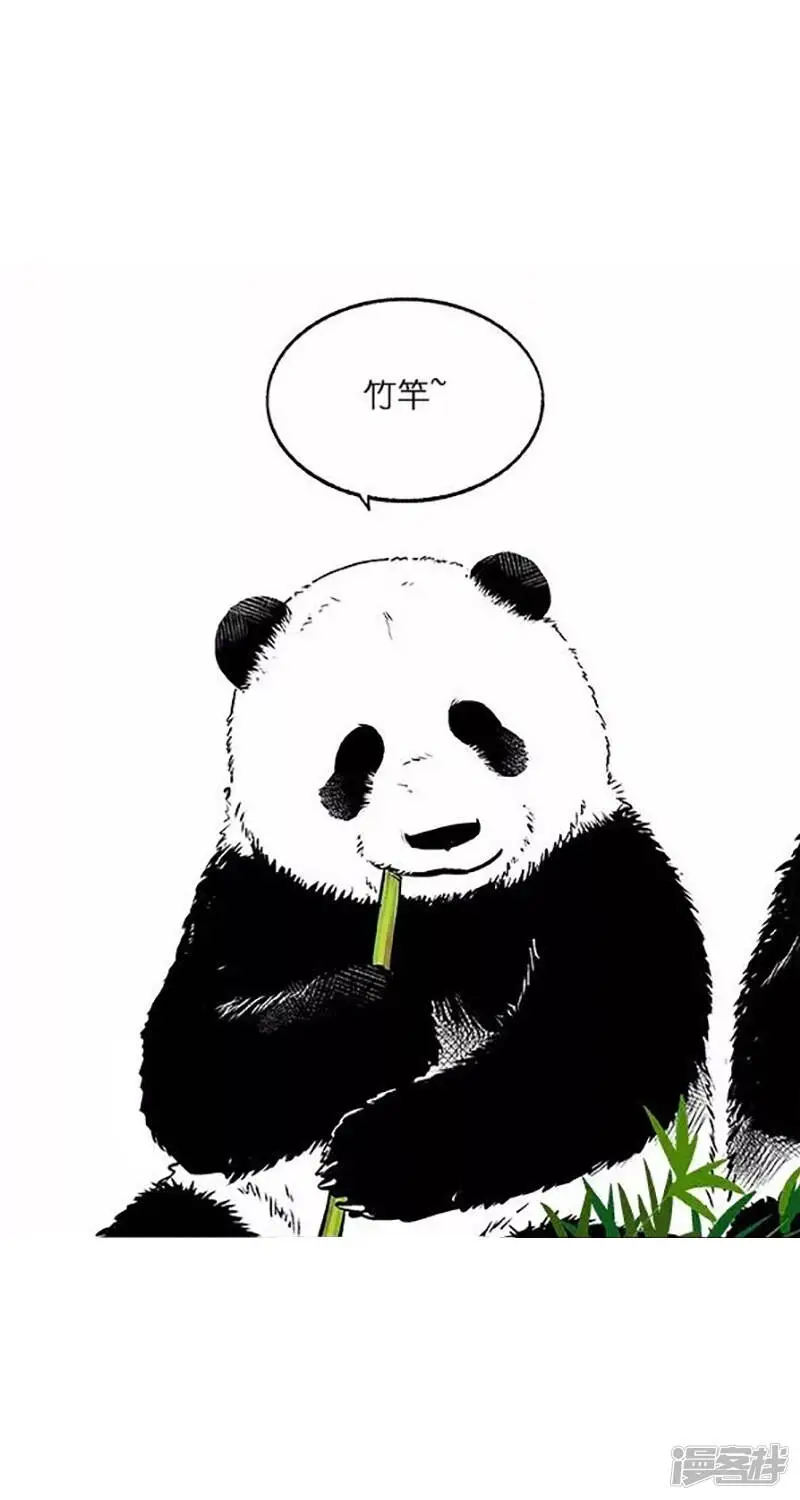 026竹子【二】3