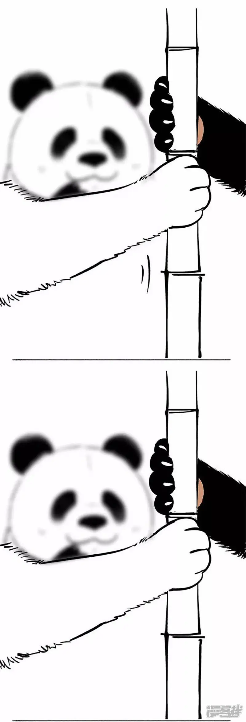 069狗粮11