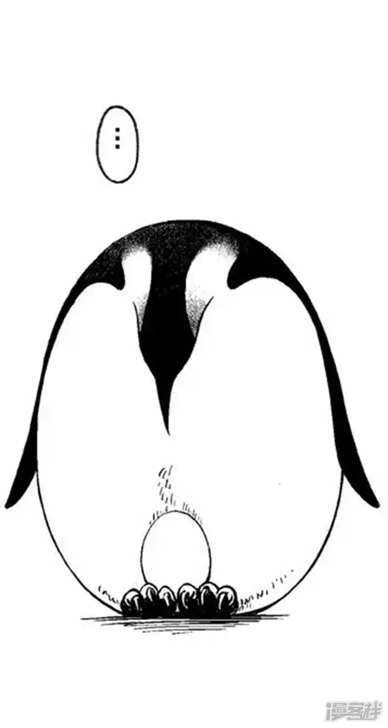 001孵蛋8