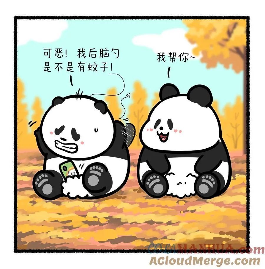 408 最美的不是下雨天，是曾与你躲过雨的无言……2