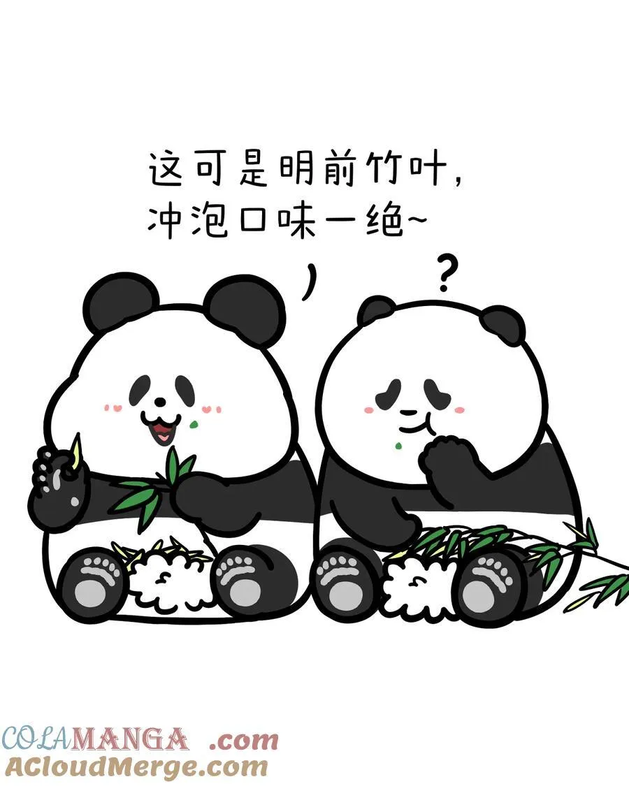 438 清明时节雨纷纷，明前的朋友特别坑1