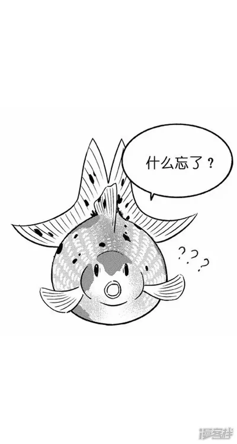 004健忘5