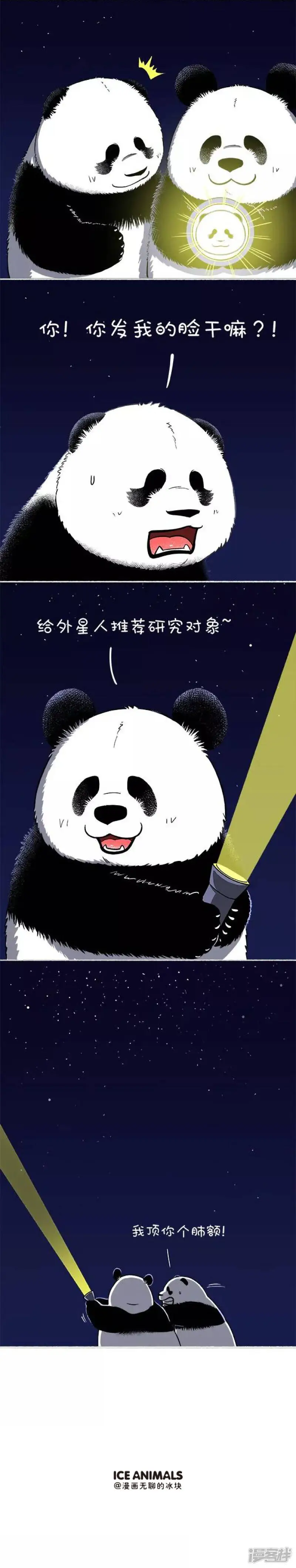 119宇宙回信2