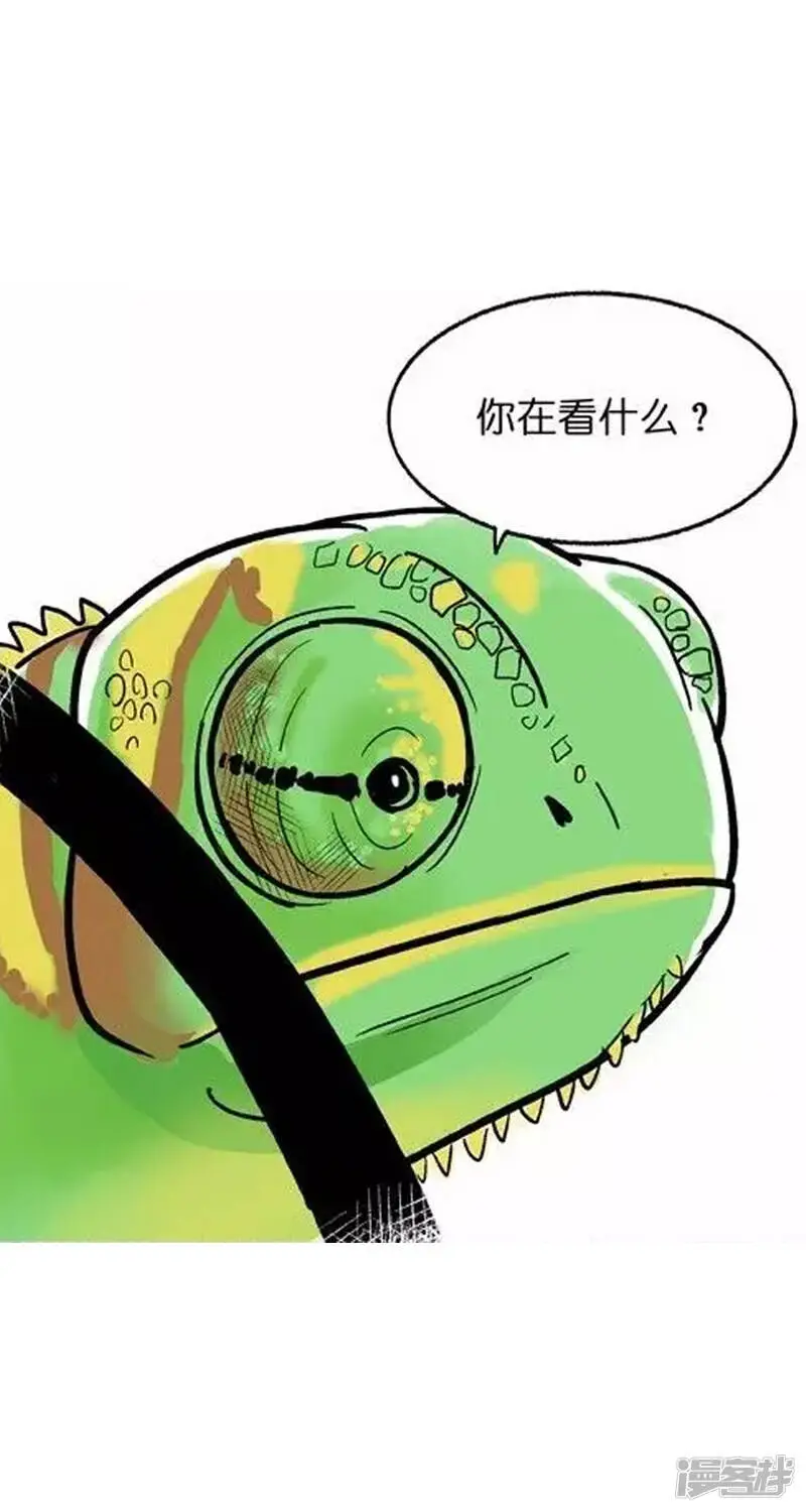 002变色5