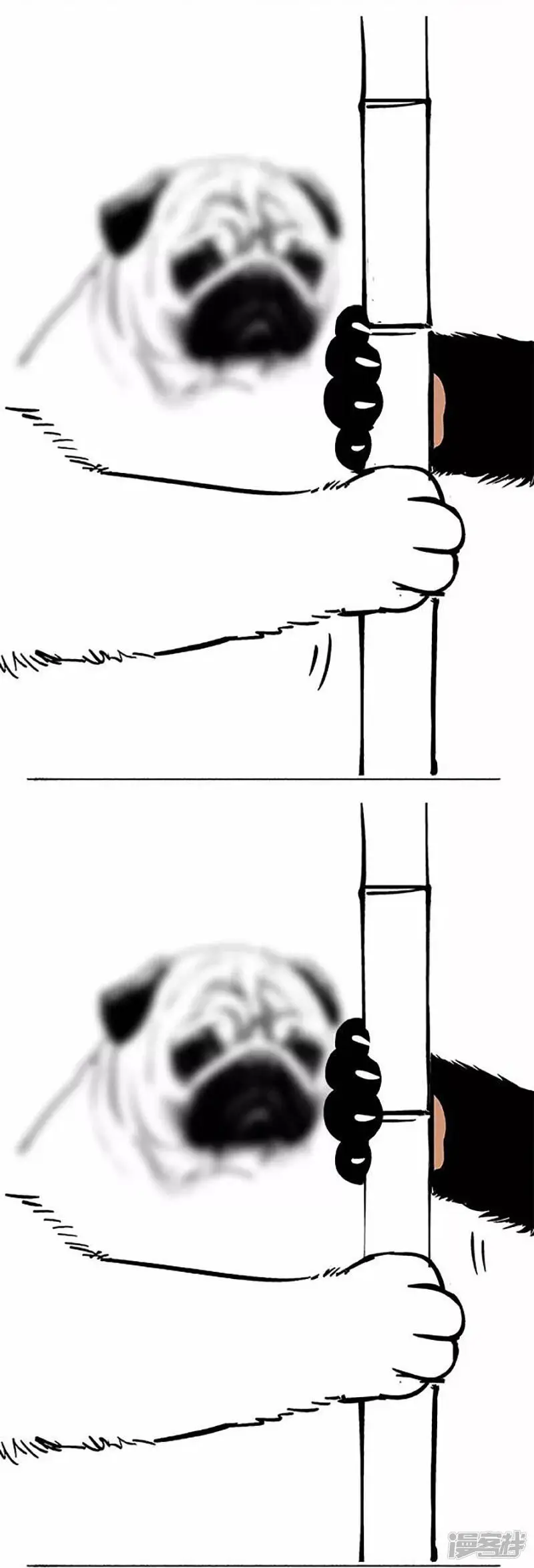 069狗粮2