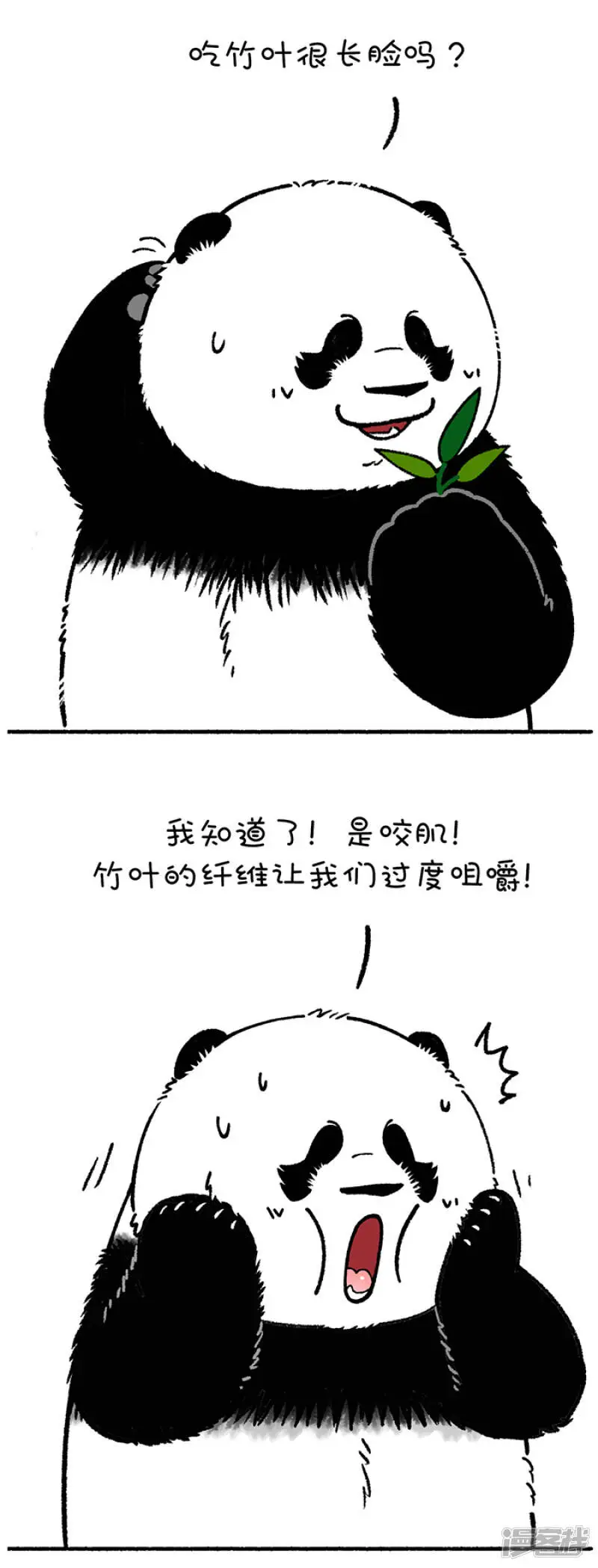 215一招解决你的脸大问题3