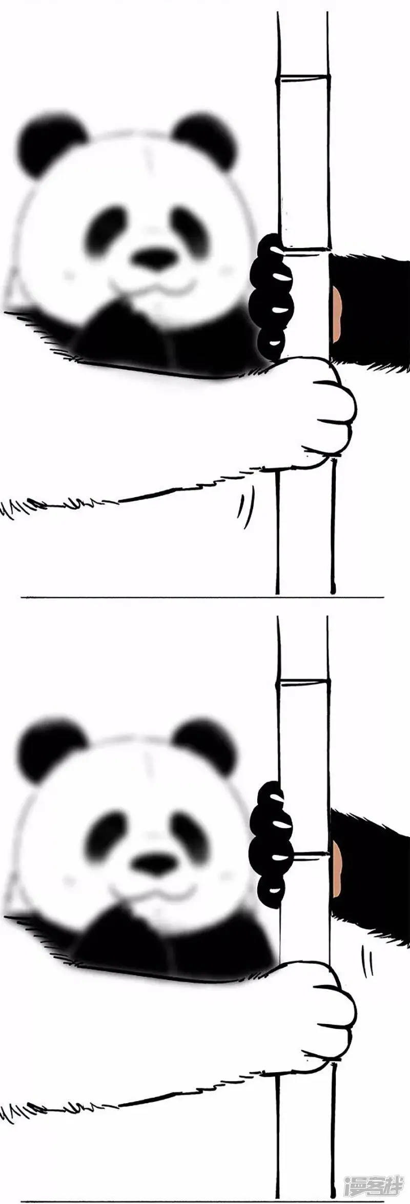069狗粮9