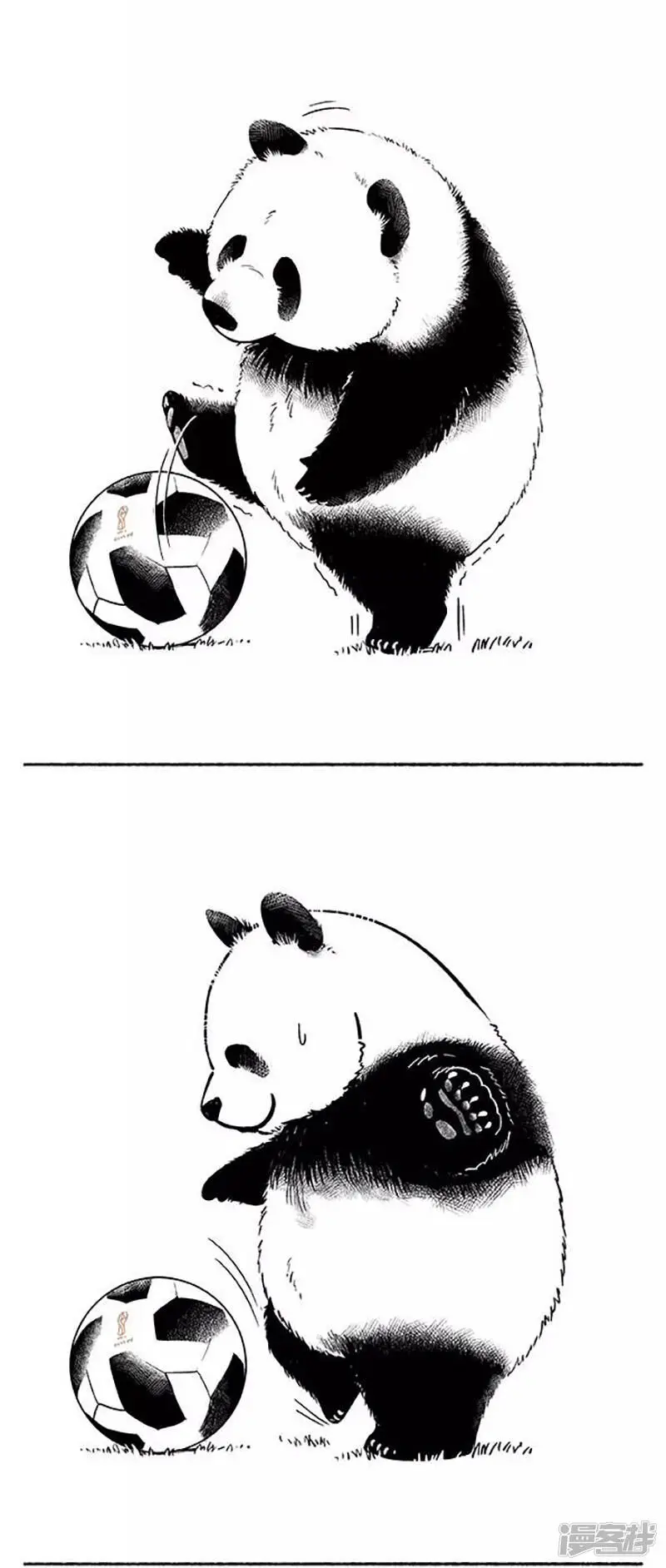 080球技2