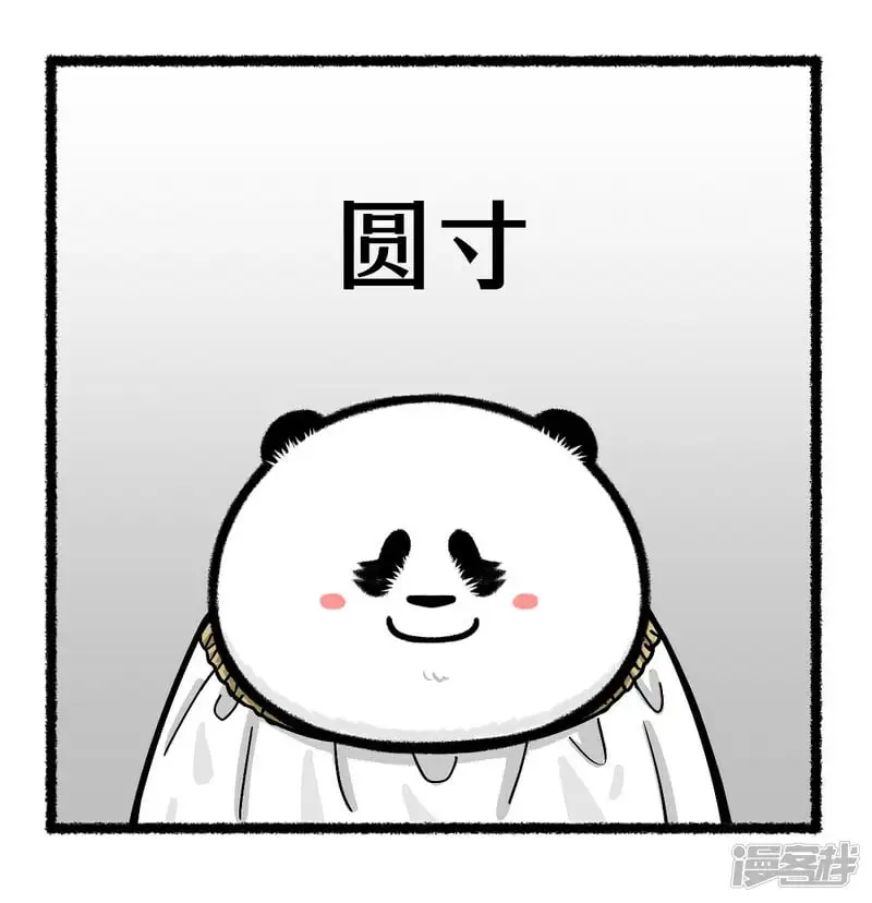 373盘点熊猫界有哪些流行发型~1