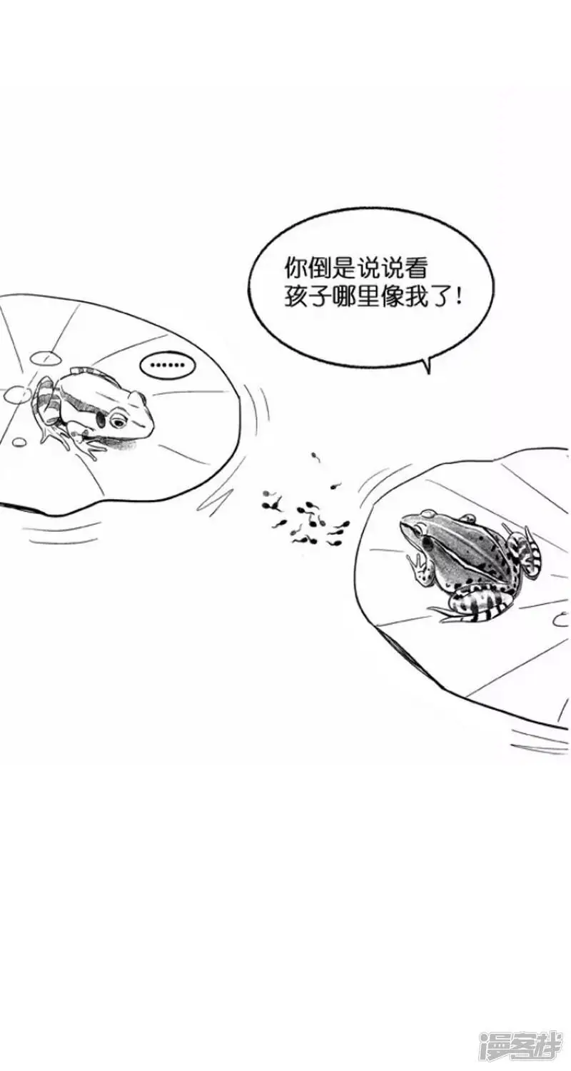 017离婚3