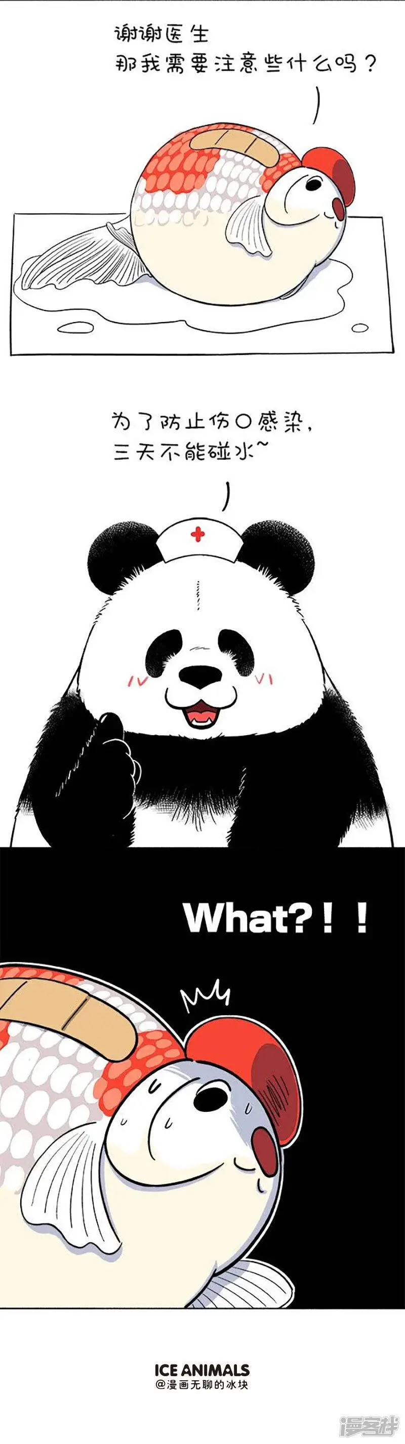 146医生，我读书少，你不要骗我4