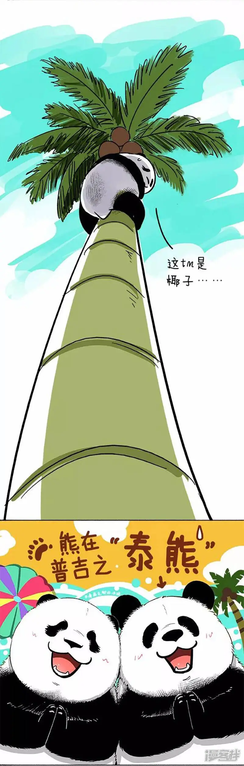 072椰子1