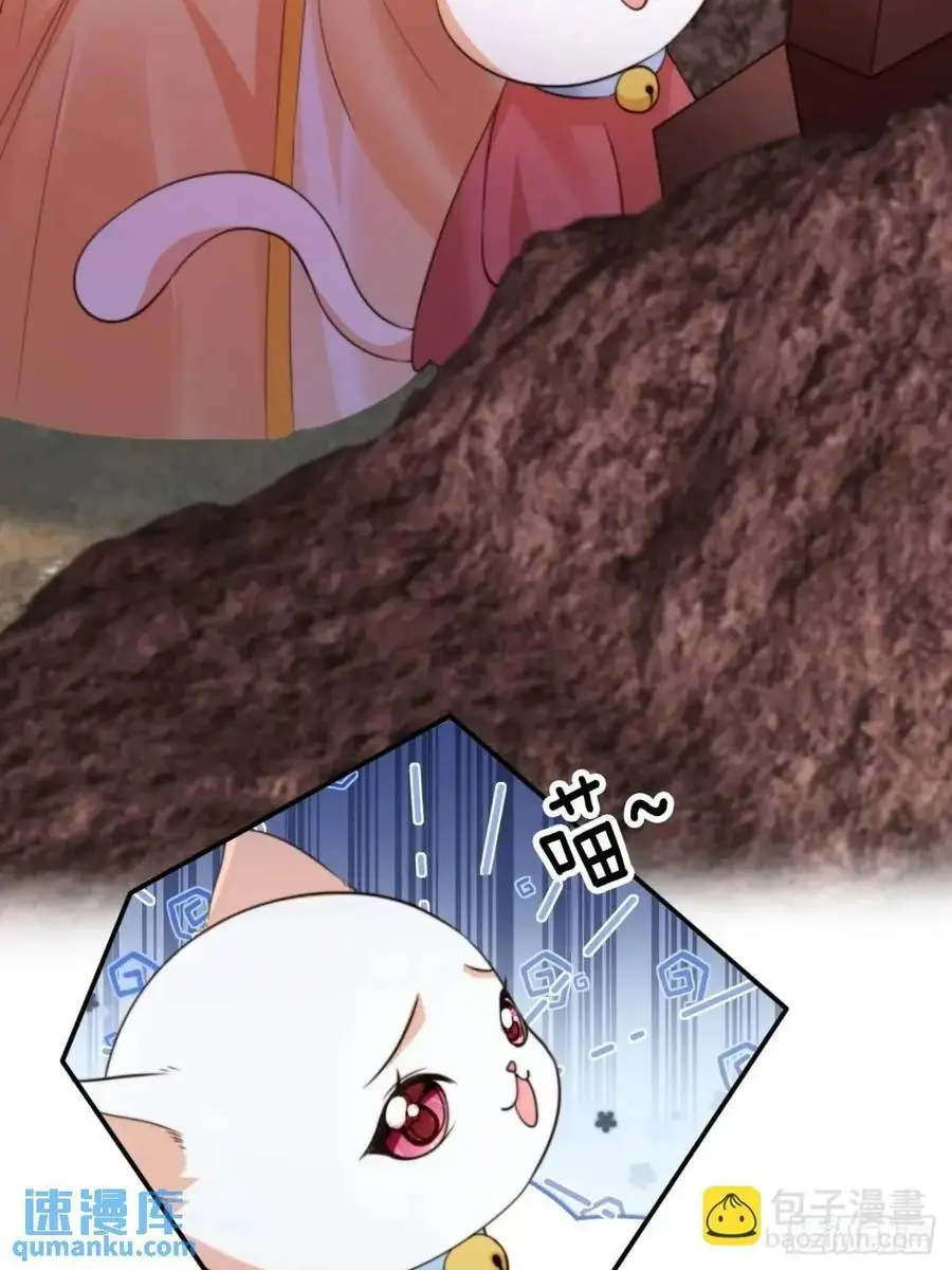 113 补偿29